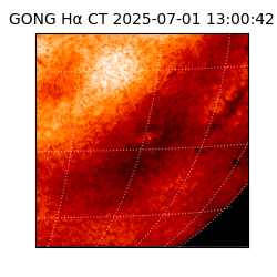 gong - 2025-07-01T13:00:42