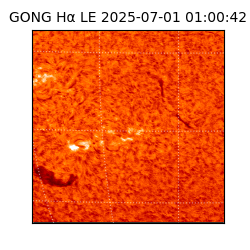 gong - 2025-07-01T01:00:42