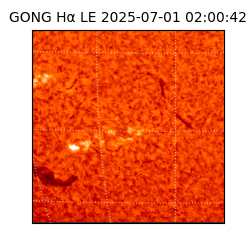 gong - 2025-07-01T02:00:42