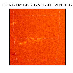 gong - 2025-07-01T20:00:02