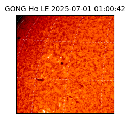 gong - 2025-07-01T01:00:42