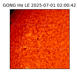 gong - 2025-07-01T02:00:42