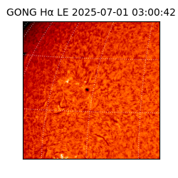 gong - 2025-07-01T03:00:42