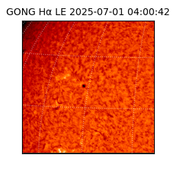 gong - 2025-07-01T04:00:42