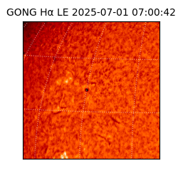 gong - 2025-07-01T07:00:42