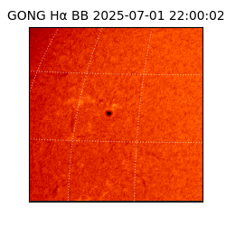 gong - 2025-07-01T22:00:02