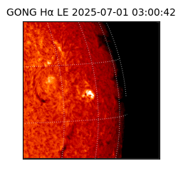 gong - 2025-07-01T03:00:42