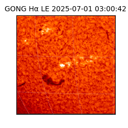 gong - 2025-07-01T03:00:42