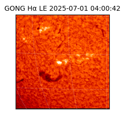 gong - 2025-07-01T04:00:42