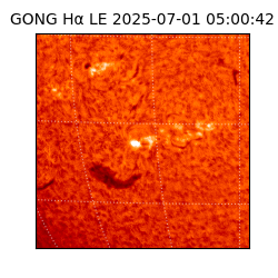 gong - 2025-07-01T05:00:42