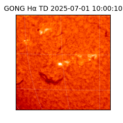 gong - 2025-07-01T10:00:10