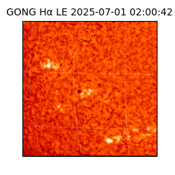 gong - 2025-07-01T02:00:42
