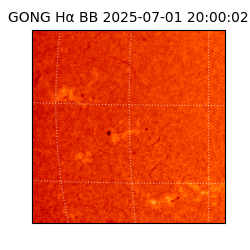 gong - 2025-07-01T20:00:02