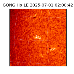 gong - 2025-07-01T02:00:42