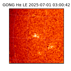 gong - 2025-07-01T03:00:42