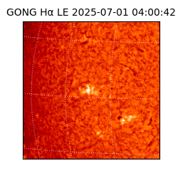 gong - 2025-07-01T04:00:42