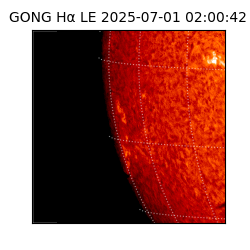 gong - 2025-07-01T02:00:42