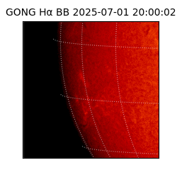 gong - 2025-07-01T20:00:02