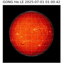 gong - 2025-07-01T01:00:42