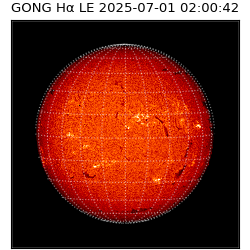 gong - 2025-07-01T02:00:42