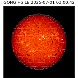 gong - 2025-07-01T03:00:42