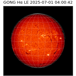 gong - 2025-07-01T04:00:42