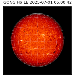 gong - 2025-07-01T05:00:42