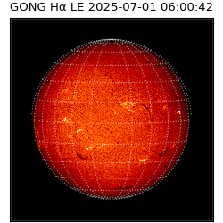 gong - 2025-07-01T06:00:42