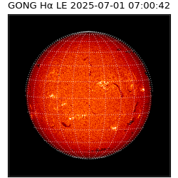 gong - 2025-07-01T07:00:42