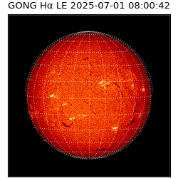 gong - 2025-07-01T08:00:42