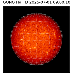 gong - 2025-07-01T09:00:10