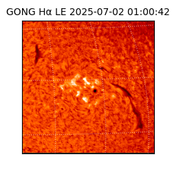 gong - 2025-07-02T01:00:42