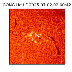 gong - 2025-07-02T02:00:42