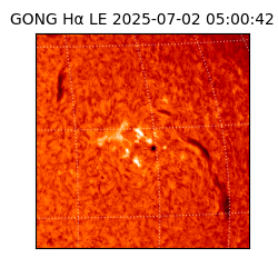 gong - 2025-07-02T05:00:42