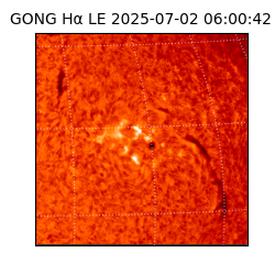 gong - 2025-07-02T06:00:42