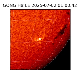 gong - 2025-07-02T01:00:42
