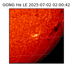 gong - 2025-07-02T02:00:42