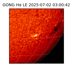 gong - 2025-07-02T03:00:42