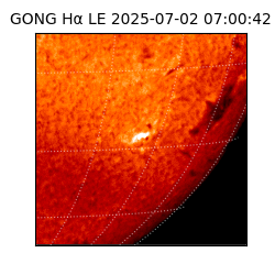 gong - 2025-07-02T07:00:42