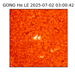 gong - 2025-07-02T03:00:42