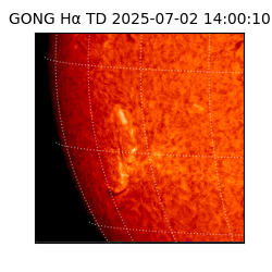 gong - 2025-07-02T14:00:10