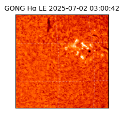 gong - 2025-07-02T03:00:42