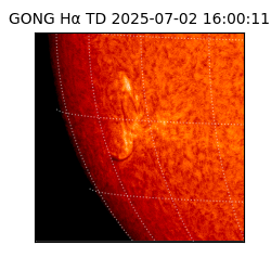 gong - 2025-07-02T16:00:11
