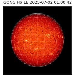 gong - 2025-07-02T01:00:42