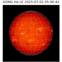 gong - 2025-07-02T05:00:42