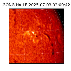 gong - 2025-07-03T02:00:42