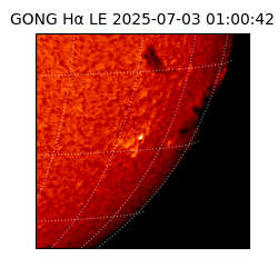gong - 2025-07-03T01:00:42