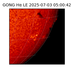 gong - 2025-07-03T05:00:42
