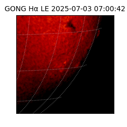 gong - 2025-07-03T07:00:42
