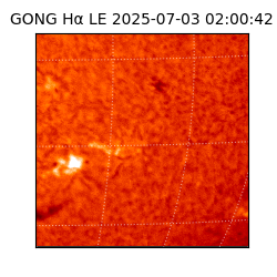 gong - 2025-07-03T02:00:42